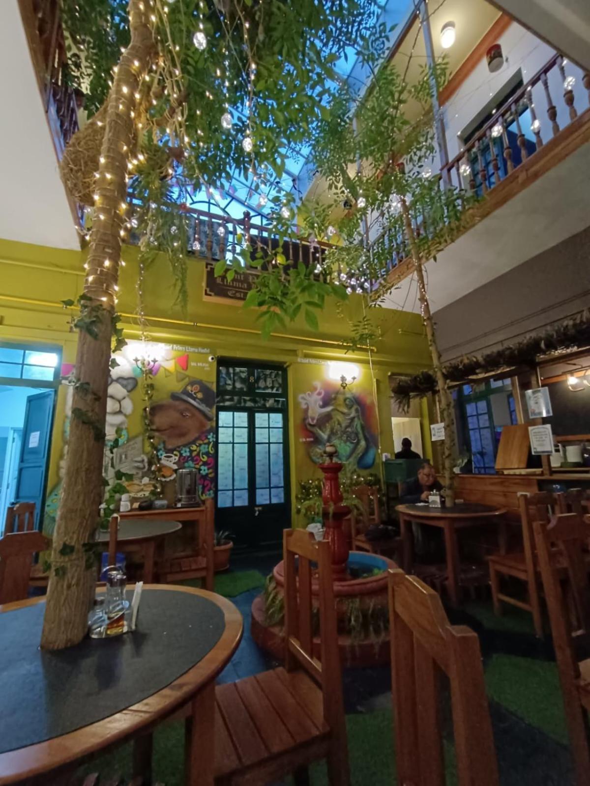 Saint Peter'S Llama Hostal La Paz Exterior foto