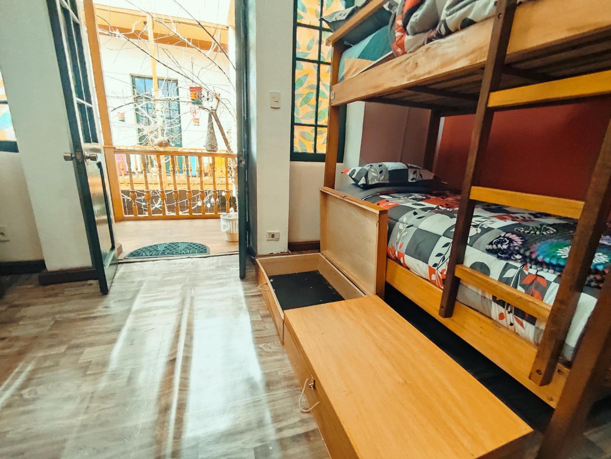 Saint Peter'S Llama Hostal La Paz Exterior foto